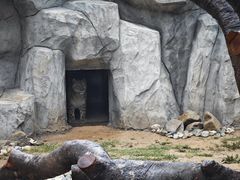 -青藏高原野生动物园
