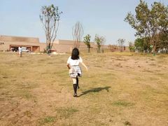 -盘龙城国家考古遗址公园