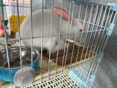 -SHRIMP CLUB万东餐饮钓虾·清吧