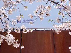 -龙美术馆(西岸馆)