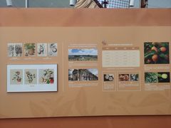 -上海中国航海博物馆