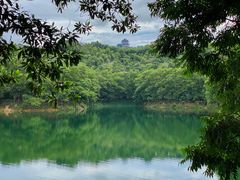 -红花湖景区