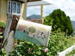 -黄色小屋