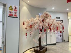 -牙博士口腔品牌连锁(杨浦店)