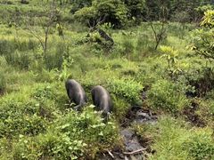 -硗碛藏寨·神木垒景区