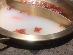 -小龙坎火锅(总店)