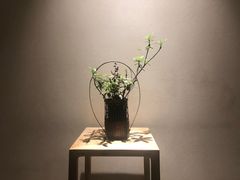 -璞禅足道(观音桥旗舰店)