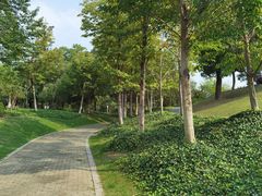 -尚贤河湿地