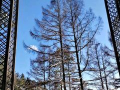 -北山公园