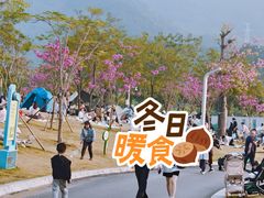 -白石龙音乐公园
