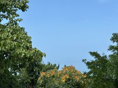 -刘公岛景区