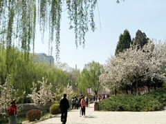 -元大都城垣遗址公园