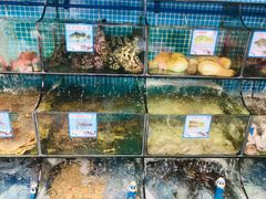 -范饭椰林川湘味海鲜·椰子鸡(三亚湾椰梦长廊店)