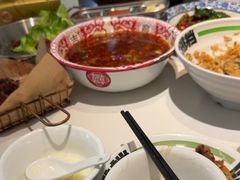 -欧记大排档·景德菜(上海首店)