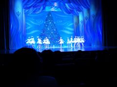 -北京大学百年讲堂