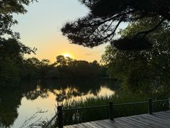 -新荣记(西溪湿地店)