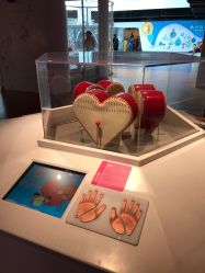 -北京科学中心儿童乐园