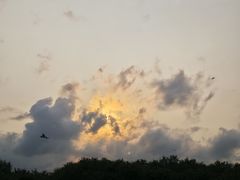 -盐洲岛
