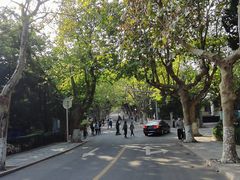 -八大关景区