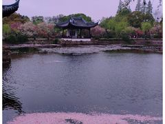 -无锡蠡湖国家湿地公园-蠡园