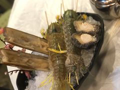 -鲜入围煮花胶鸡海鲜火锅