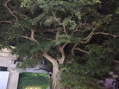 -海港城