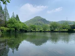 -八卦田遗址公园
