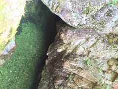 牛背梁自然保护区-牛背梁国家森林公园
