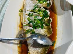 -金美华轩(东方路齐鲁店)