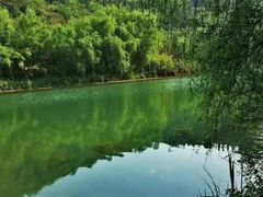 -青峰峡国家森林公园