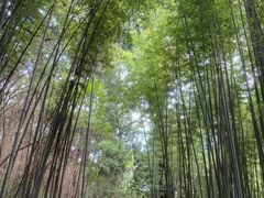 -四门塔风景区
