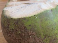 -15年老字号鑫鑫猪肚鸡·椰子鸡海南火锅(兴隆华侨农场店)