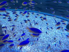 -海合安青岛极地海洋公园