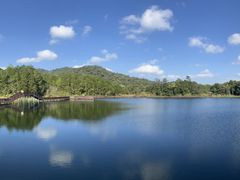 -海南热带雨林国家公园吊罗山景区
