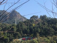 -南丹山森林王国