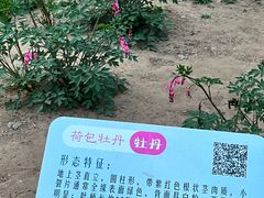 -仁和公园(顺义区)