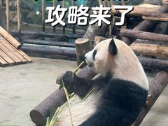 -杭州动物园