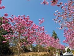 -盈香心动乐园