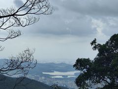 -阳台山森林公园