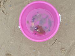 -威海国际海水浴场旅游区