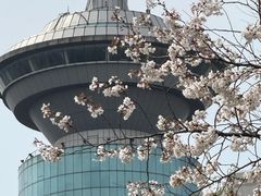 -宋庆龄陵园