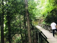 -云碧峰国家森林公园
