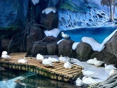 -海合安青岛极地海洋公园
