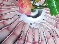 -马家斑.鲜鱼火锅(松湖万科店)