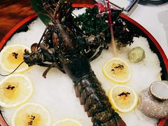 -石葵(锦业时代店)