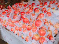 -城南综合水果批发市场(花园路店)