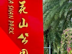 -莲花山公园