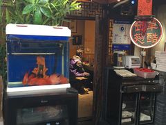 -西单翅酷(西单店)