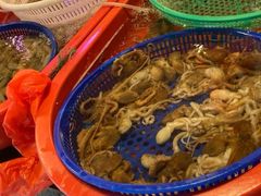 -芦潮港集贸市场