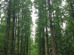 iphone_upload_pic-上海怡沁园度假酒店